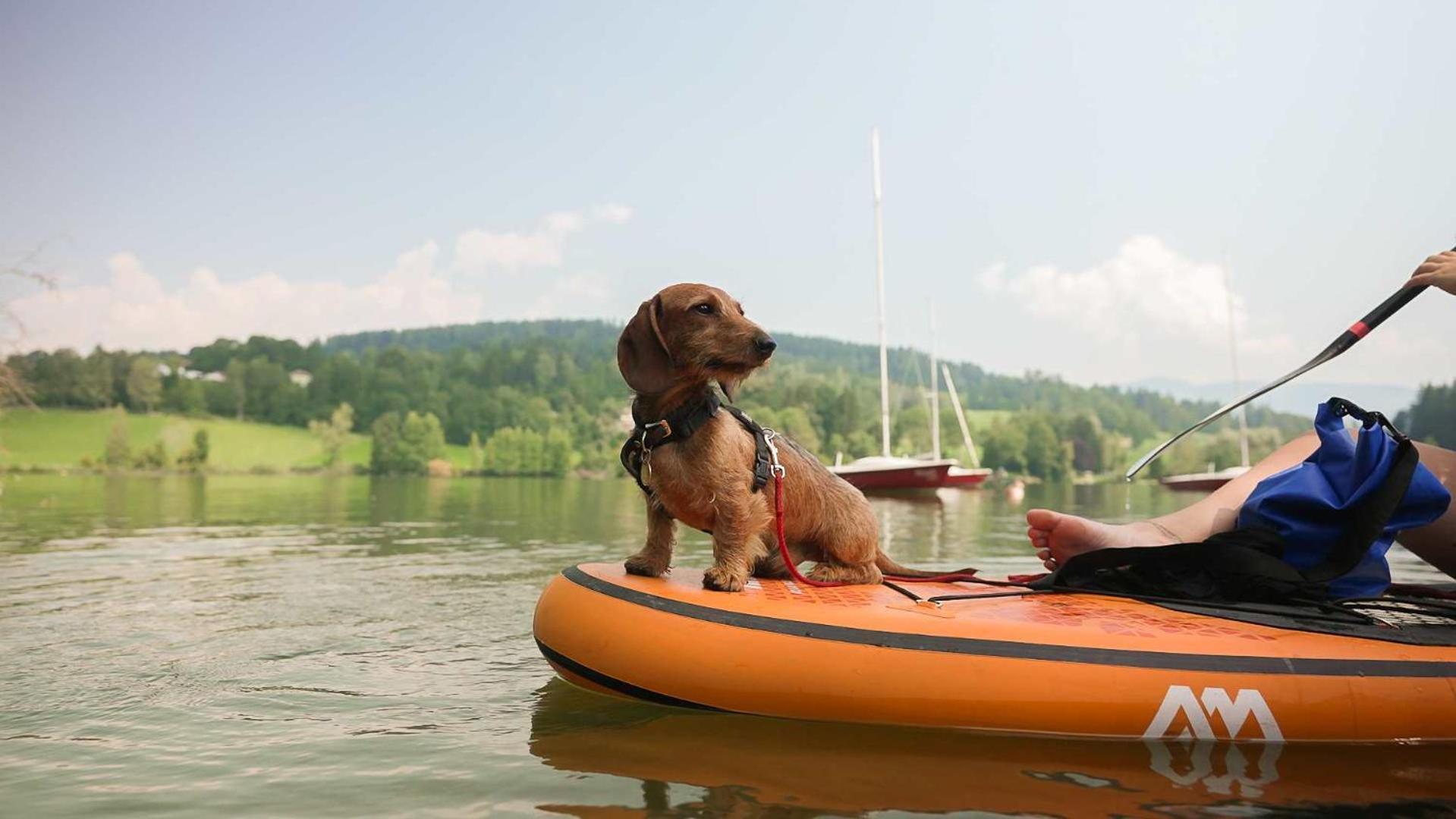 Feriendorf Am Maltschacher See Feldkirchen in Kärnten Buitenkant foto